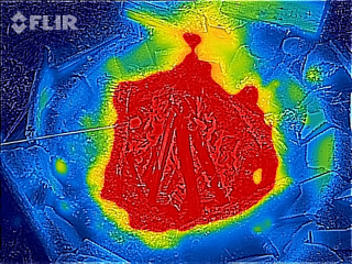 Illustration for article titled 16 Ways To Use FLIR's Incredibly Fun Predator-Vision iPhone Camera